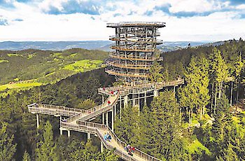 Waldwipfelpfad St. Englmar
